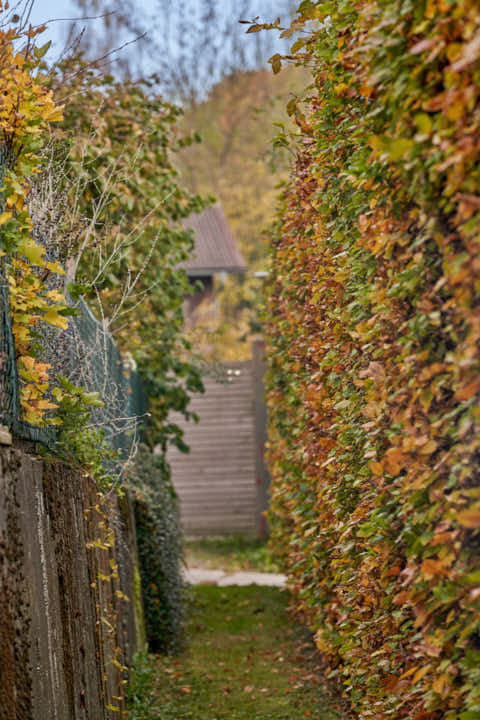 Gemeinde Schönau Landkreis Rottal-Inn Schmaler Durchgang alte Schule Hörniweg (Dirschl Johann) Deutschland PAN